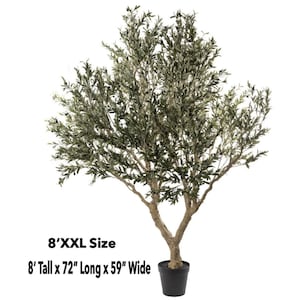 6-8 Faux Olive Tree, Giant Olive Tree, Artificial Olive Tree., Faux Olive Tree, Silk Olive Tree, High End Flora, Giant Olive image 2