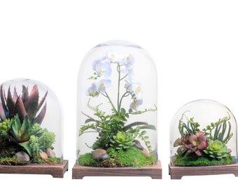 Glass Cloche, Glass Terrariums with Dark Wood Base, Glass Terrarium, Terrarium Glass, Moss Decor, Wedding Gift,  Terrarium Decoration
