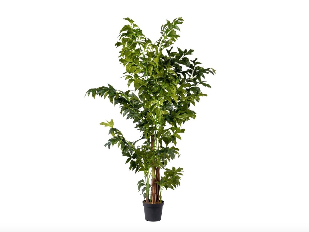 Artificial Fishtail Palm, Fishtail Palm, Palm Tree, Faux Fishtail, Faux