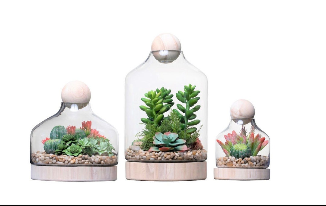 Glass Terrarium, Glass Cloche, Glass Vase, Boho, Modern Farmhouse, Vase Etsy