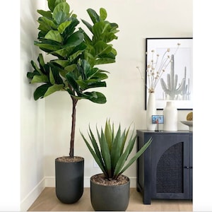 7-8' Artificial Fiddle Leaf Fig Tree, Faux Fiddle Leaf Fig, Fiddle Fig, High End Flora