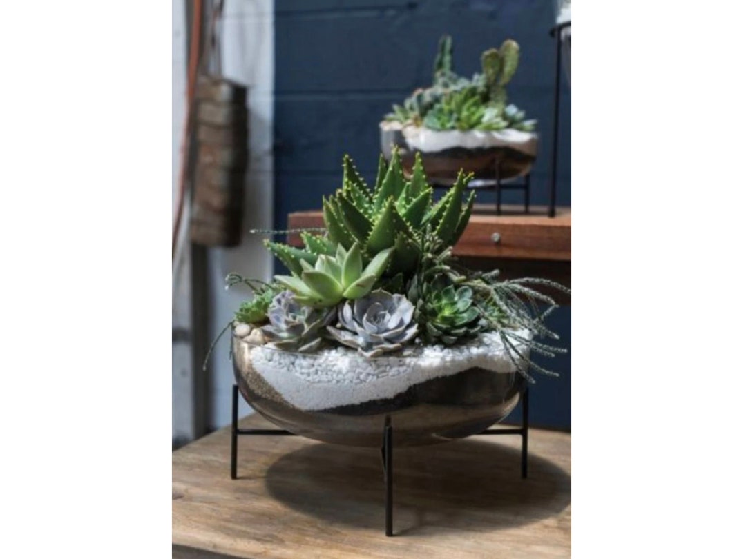 Glass Bowl With Black Metal Stand, Glass Bowl, Glass Vase, Vase With