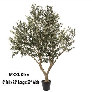 6-8 Faux Olive Tree, Giant Olive Tree, Artificial Olive Tree., Faux Olive Tree, Silk Olive Tree, High End Flora, Giant Olive image 10
