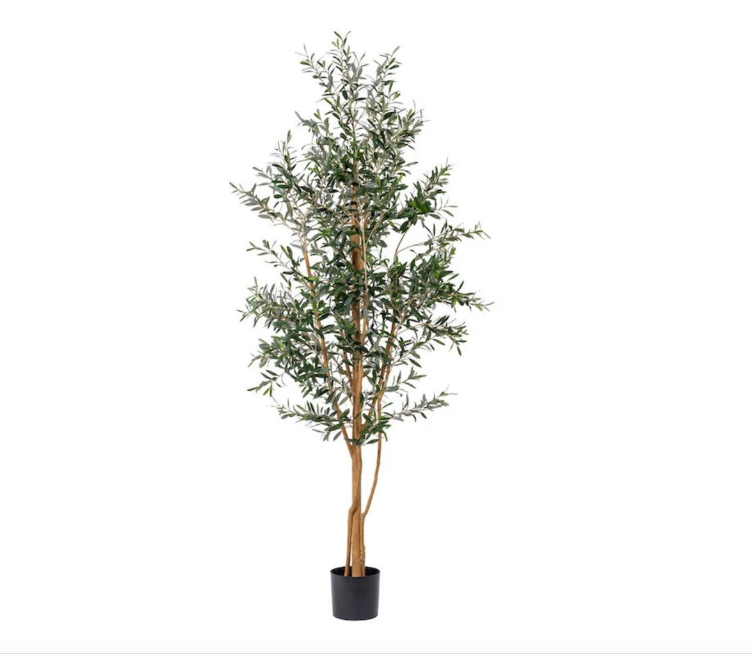 7.5 Artificial Olive Tree Olive Tree With No Olives High Etsy