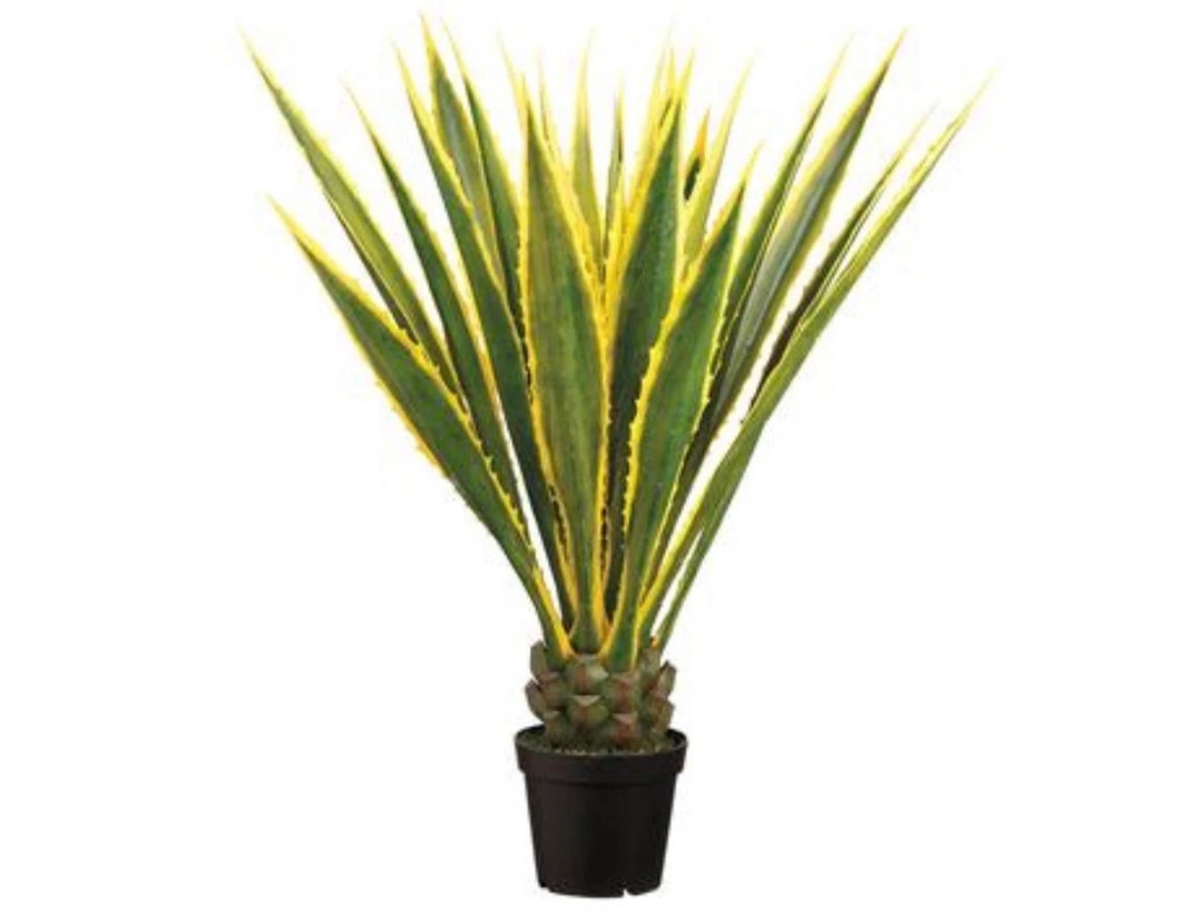 Real Touch Agave Plant, Artificial Agave Plant, Faux Agave Plant