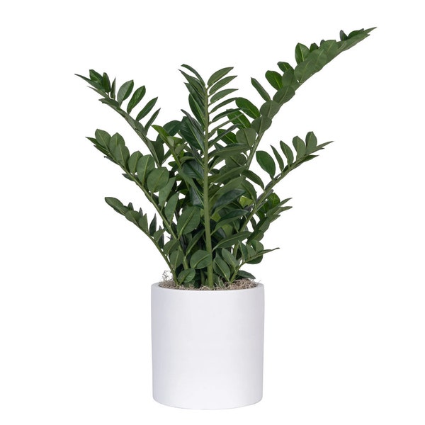 Artificial Zz Plants Etsy