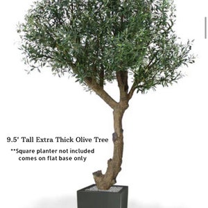 6-8 Faux Olive Tree, Giant Olive Tree, Artificial Olive Tree., Faux Olive Tree, Silk Olive Tree, High End Flora, Giant Olive image 7