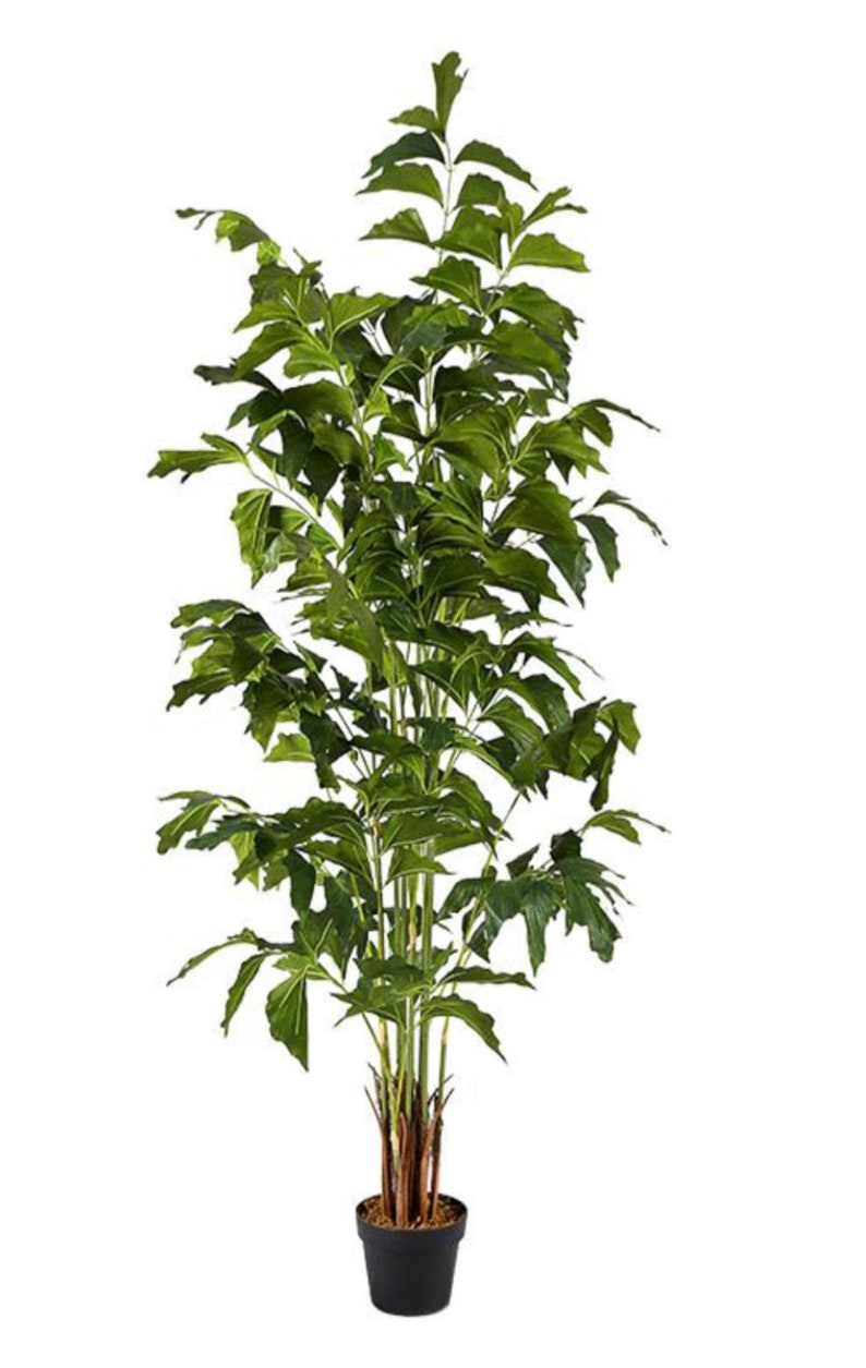 Artificial Fishtail Palm Fishtail Palm Palm Tree Faux Etsy