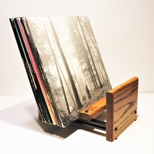 Vinyl Record Holder Display, Solid Wood and Metal Alloy, Holds up to 40 LPs