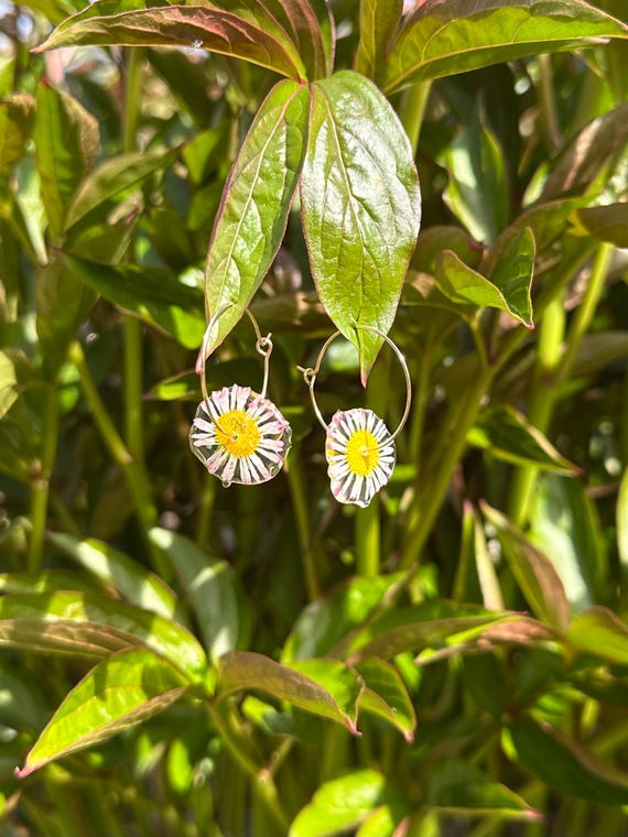 Hoop earrings with real flowers daisies hand-picked blossoms real flower jewelry