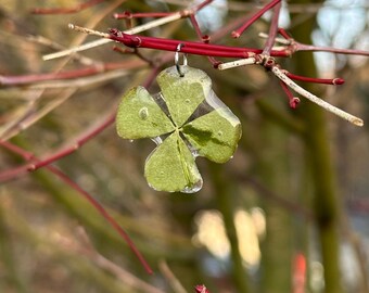 Kettenanhänger aus einem echten vierblättrigen Kleeblatt mit silbernem Verschluss real flower jewelry green