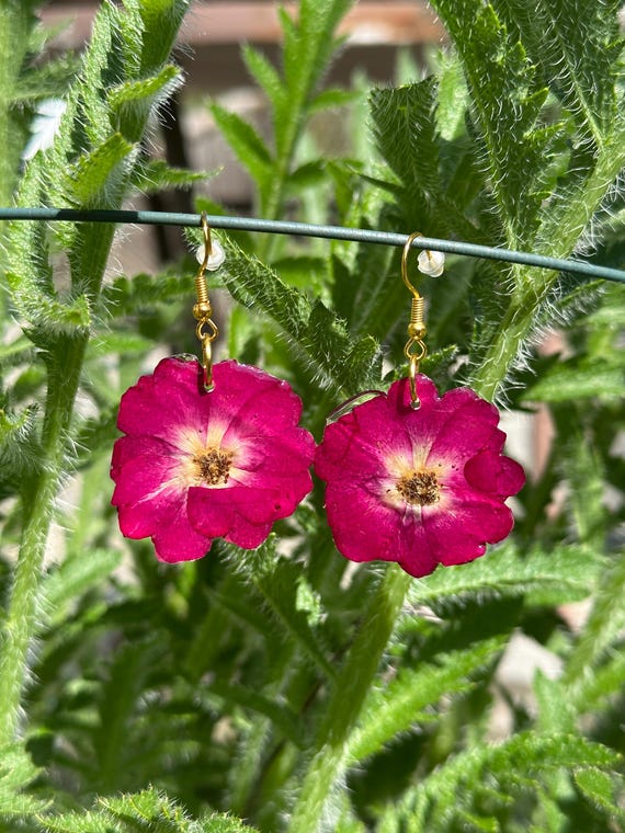 Hanging earrings made of real flowers wood anemone in dark red and purple golden details flower jewelry unique
