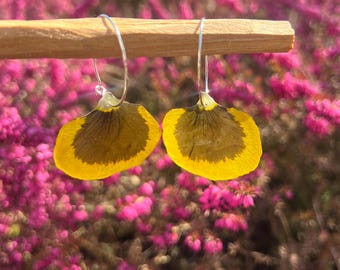 Creolen mit echten Blumen gelbe Stiefmütterchen handgepflückt Blüten real flower jewelry Veilchen