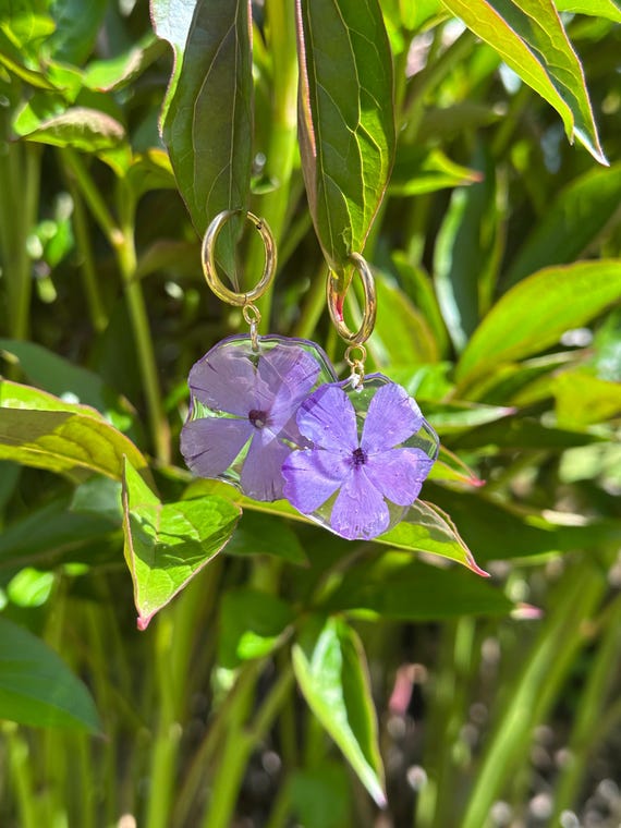 Golden earrings made of stainless steel from real small purple flowers Phlox natural flowers resin