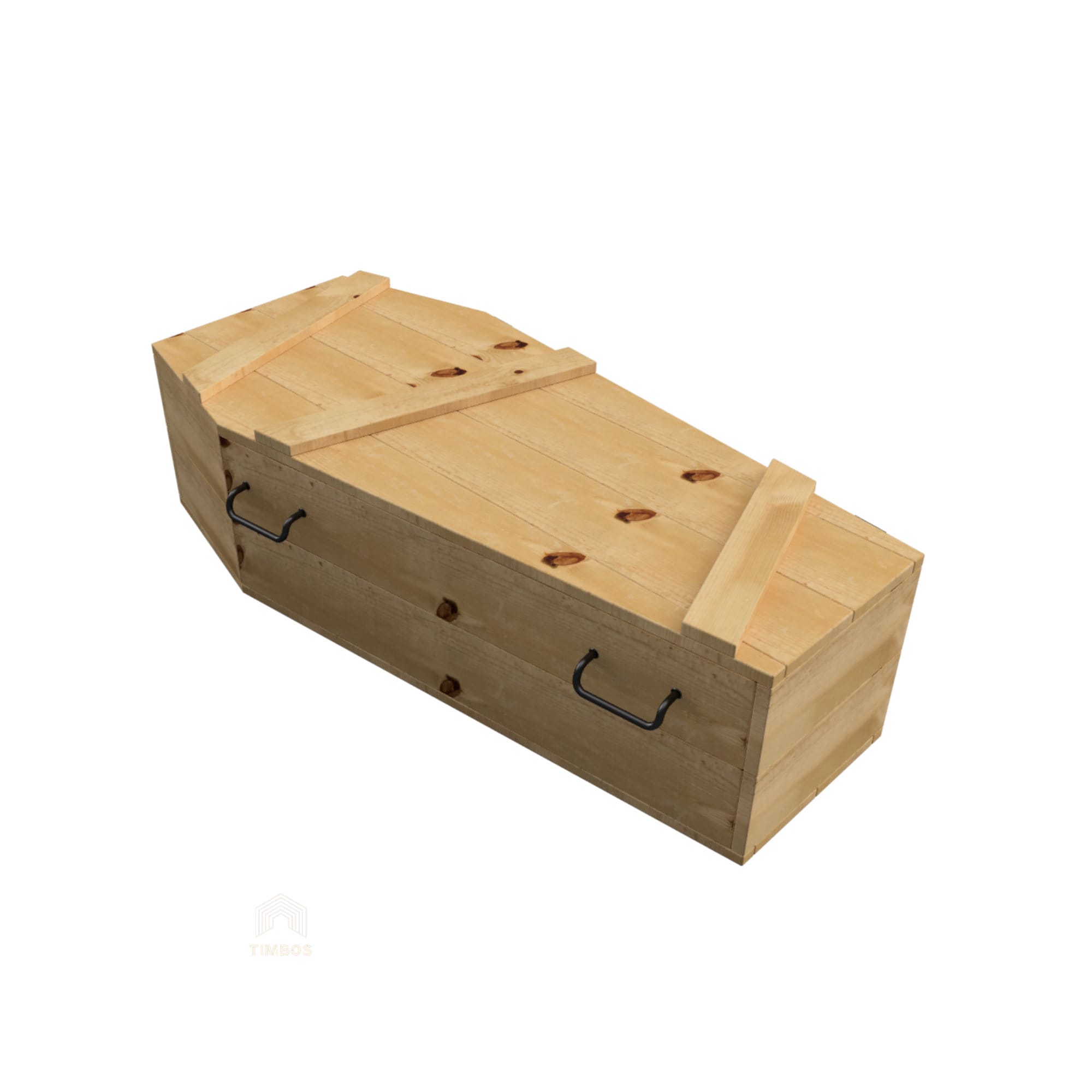 DIY Halloween Coffin Plans How to Build Your Own Outdoor Halloween ...