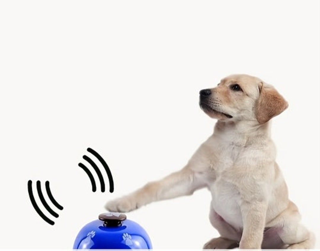 PUPPY Dog Puppy Training Bell Pet Training Bells Dog bell Etsy UK