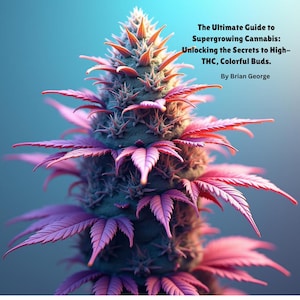 Pode incluir: Close-up de uma flor de cannabis com tons vibrantes de rosa e verde. A imagem apresenta o texto "The Ultimate Guide to Supergrowing Cannabis: Unlocking the Secrets to High-THC, Colorful Buds. By Brian George."