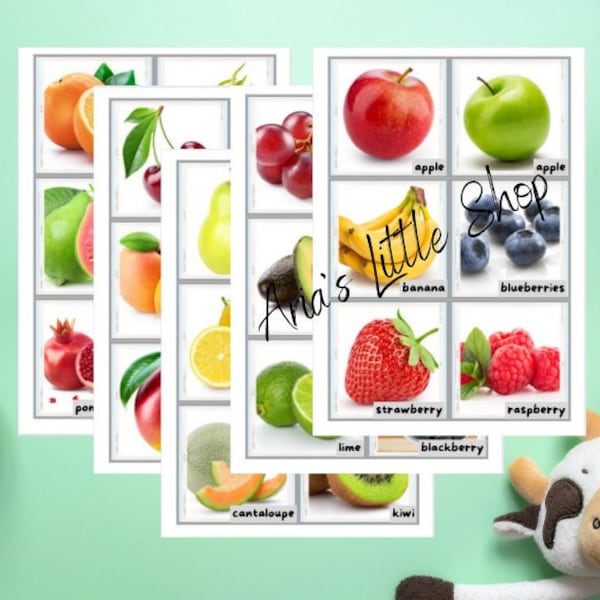 Fruit Flash Cards, Toddler Flash Cards, Real Images, Child Vocabulary Cards, Real Pictures, PDF Printable, Montessori Play,  Homeschool,