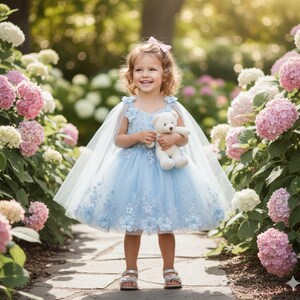 Toddler Girl Birthday Dress, Blue Dress,Princess Dress, Flower Girl Dress, Quinceanera Dress, Mini Quince,  Toddler Quince, Fairy Dress