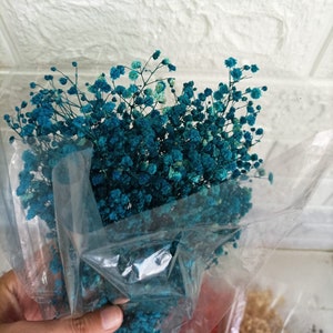 Preserved gypsophila baby's breaths / 1 bunch 40/50 gr/ Preserved baby's berath/Orange baby's breath/Blue baby's breath/Lilac baby's breath