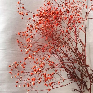 Orange preserved dried natural gypsophila baby breaths / 1 bunch 40/50 gr/ Preserved baby&#39;s berath/Orange baby&#39;s breath