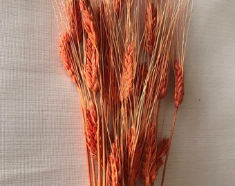 orange wheat, dry wheat, dried flowers, dry flowers, dried bouquet, natural, natural wheat, natural flowers, natural bouquet