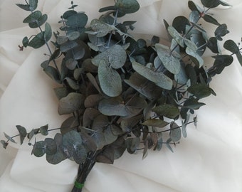 Eucalyptus/ Preserved eucalyptus/ Preserved flowers/Eucalyptus bouquet/Dried Eucalyptus/ Preserved Eucalyptus bouquet