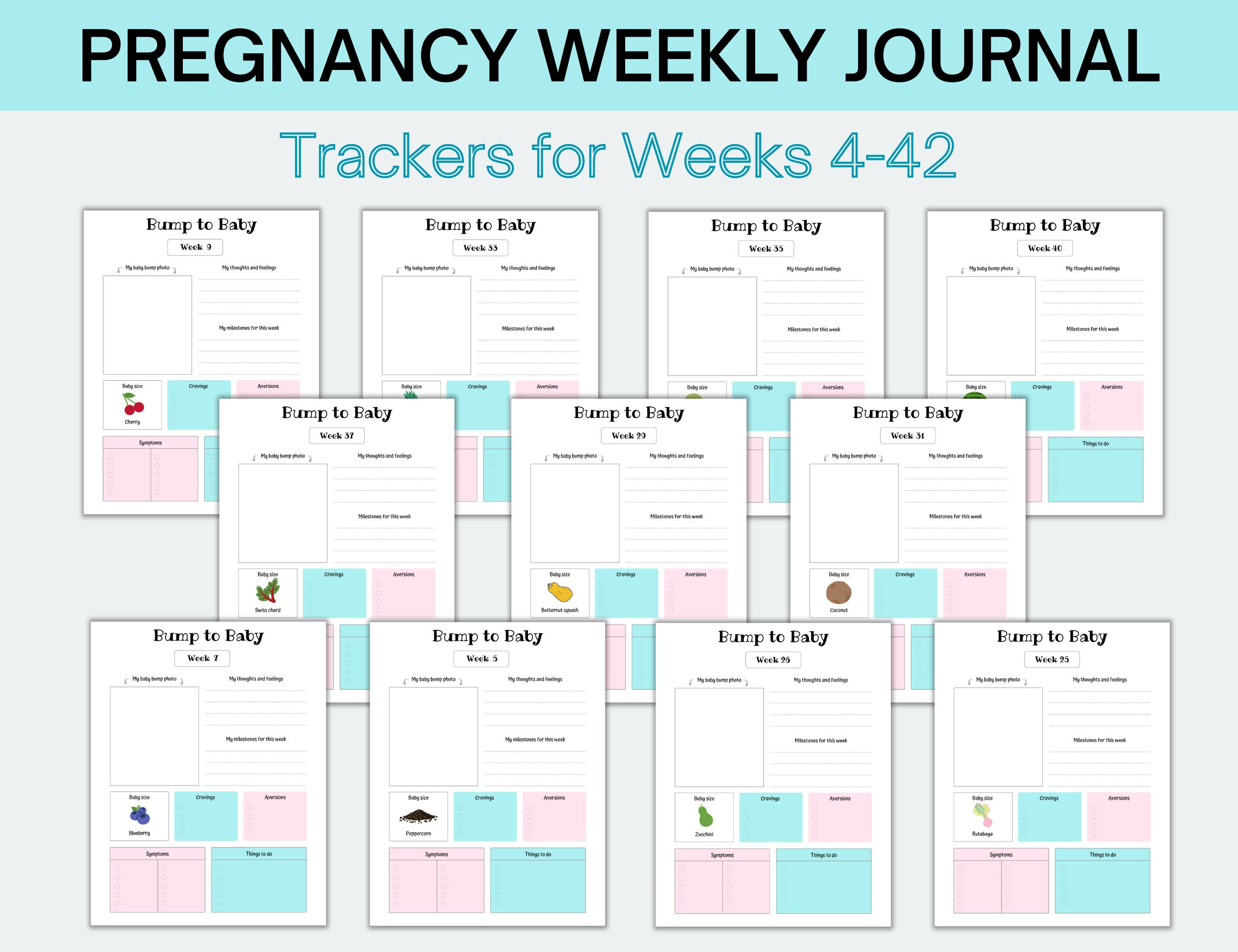 Pregnancy Week by Week Printable | Pregnancy Journal | Weekly Organizer ...
