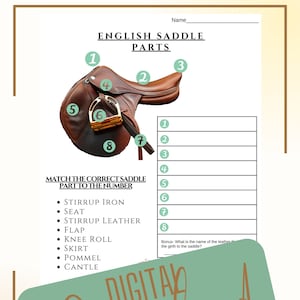 Printable horse camp/lessons English Saddle Parts, worksheet, Digital download horse