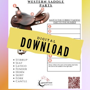 Printable Horse Camp/lessons Western and English Saddle Parts ...