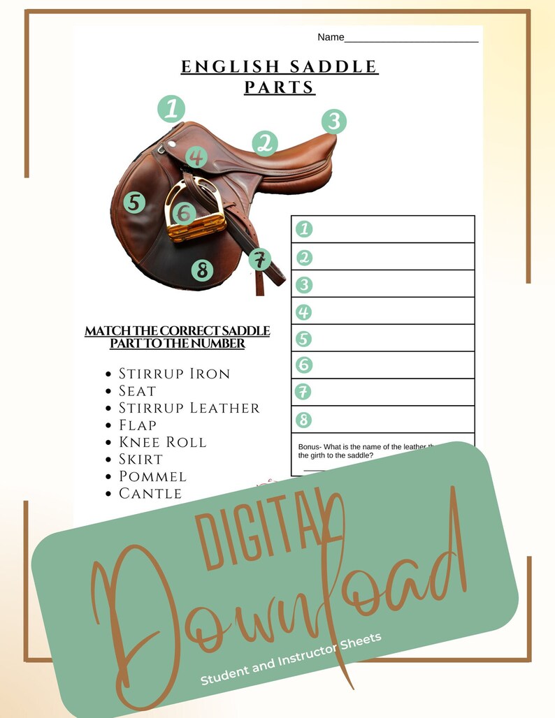 Printable Horse Camp/lessons English Saddle Parts, Worksheet, Digital Download Horse - Etsy