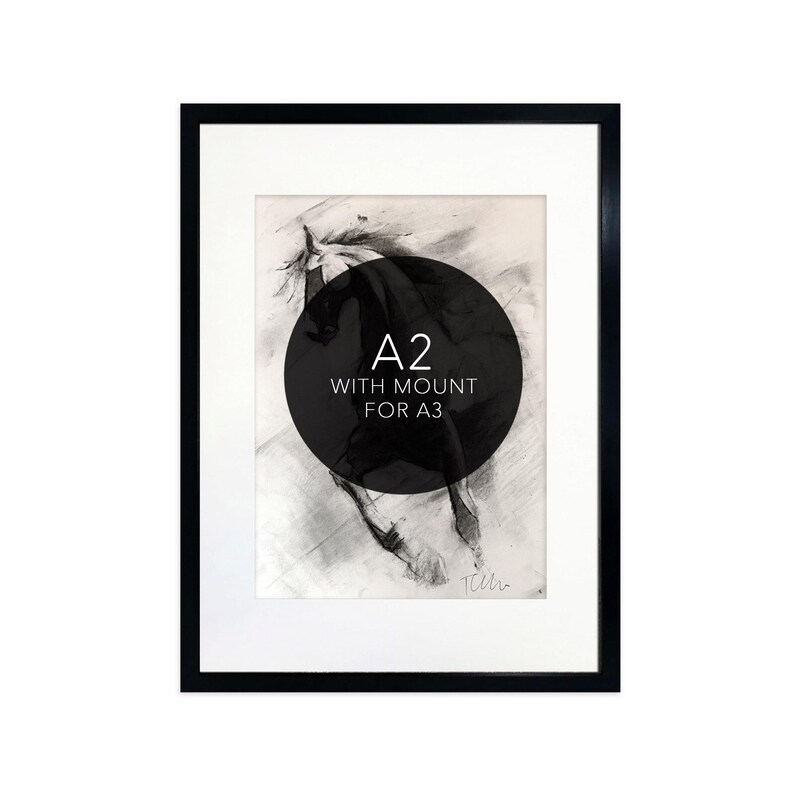Frame A2 With A3 Mount - Etsy