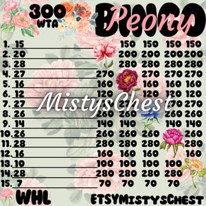 300  WTA