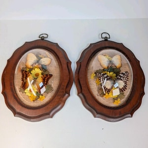 May include: Two oval wall hangings featuring preserved butterflies and yellow flowers set against a burlap background. Each piece is encased in a convex glass dome and framed in dark brown wood with a scalloped edge and a metal hanging loop.