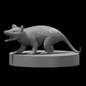 Scampering Scout Opossum Possum (Compatible with d20 Roleplaying Games)
