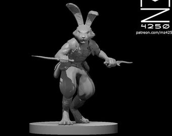 Shadowbound Harengon Rogue (Rabbit) (Compatible with d20 Roleplaying Games)