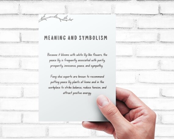 Plant Care Card - Printable | Quick Guide - Download | Peace Lily Care Card  Printable | Digital Download | - Etsy
