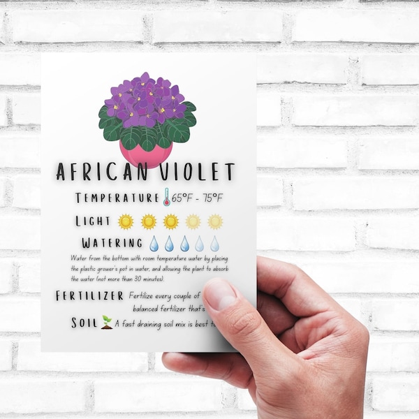 Plant Care Card - Printable | Quick Guide - Download | African Violet Care Card Printable | Digital Download | Saintpaulia ionanth