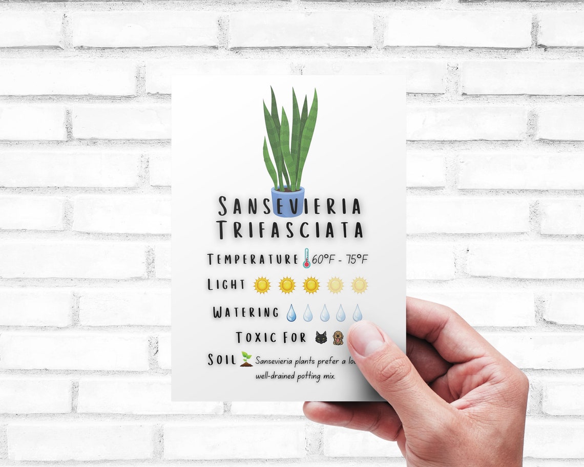 Plant Care Card - Printable | Quick Guide - Download | Sansevieria ...
