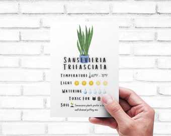 Scheda per la cura delle piante - Stampabile / Guida rapida - Download / Scheda per la cura della Sansevieria Trifasciata stampabile / Download digitale /