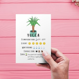 Plant Care Card - Printable | Quick Guide - Download | Yucca Plant Care Card Printable | Digital Download