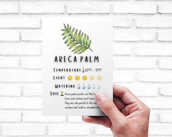 Scheda per la cura delle piante - Stampabile / Guida rapida - Download / Scheda per la cura delle palme Areca stampabile / Download digitale / Chrysalidocarpus Lutescens