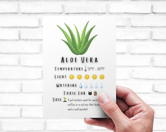 Plant Care Card - Printable | Quick Guide - Download | Aloe Vera Care Card Printable | Digital Download |