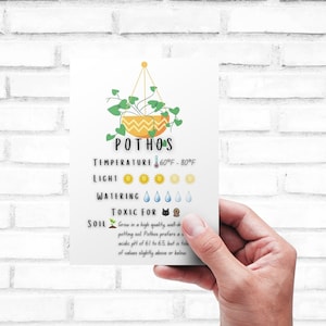 Tarjeta de cuidado de plantas - Imprimible / Guía rápida - Descargar / Tarjeta de cuidado Pothos imprimible / Hiedra del diablo / Taro Vine / Ivy Arum / Epipremnum aureum