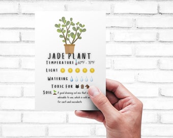 Plant Care Card - Printable | Quick Guide - Download | Jade Plant Care Card Printable | Digital Download | Crassula ovata