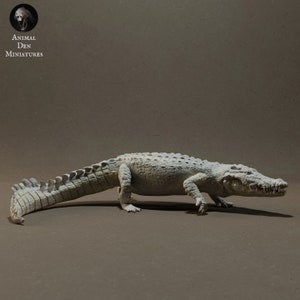 Nile Crocodile / DnD / Pathfinder / 5e / Dungeons and Dragons / Animal Den Miniatures