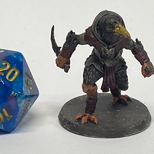 Corvian Assassin 32mm (Painted Mini) / DnD / Pathfinder / 5e / Miniature / Dracocide