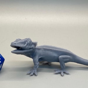 Crested Gecko / Tiny Beast / DnD / 5e / Pathfinder / Animal Den Miniatures