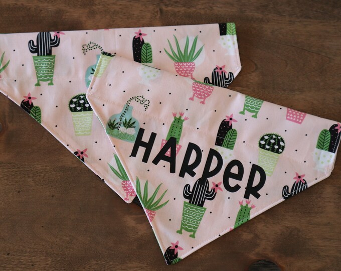 Cinco de Mayo Dog and Cat (Over the Collar) Personalized Bandana / Pet Scarf – PawsMidwest