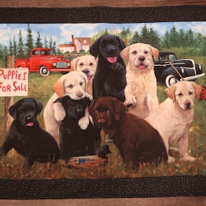 Handmade Dog Quilt (Wall Hanging/Throw/Blanket) - PawsMidwest